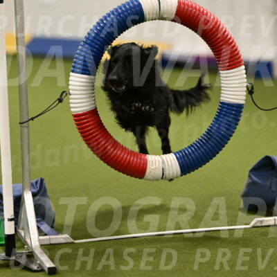 Kevin-Toni-Fern-10203