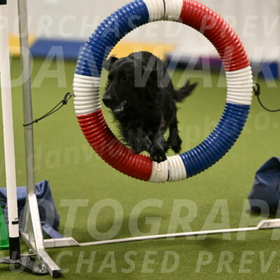 Kevin-Toni-Fern-10204