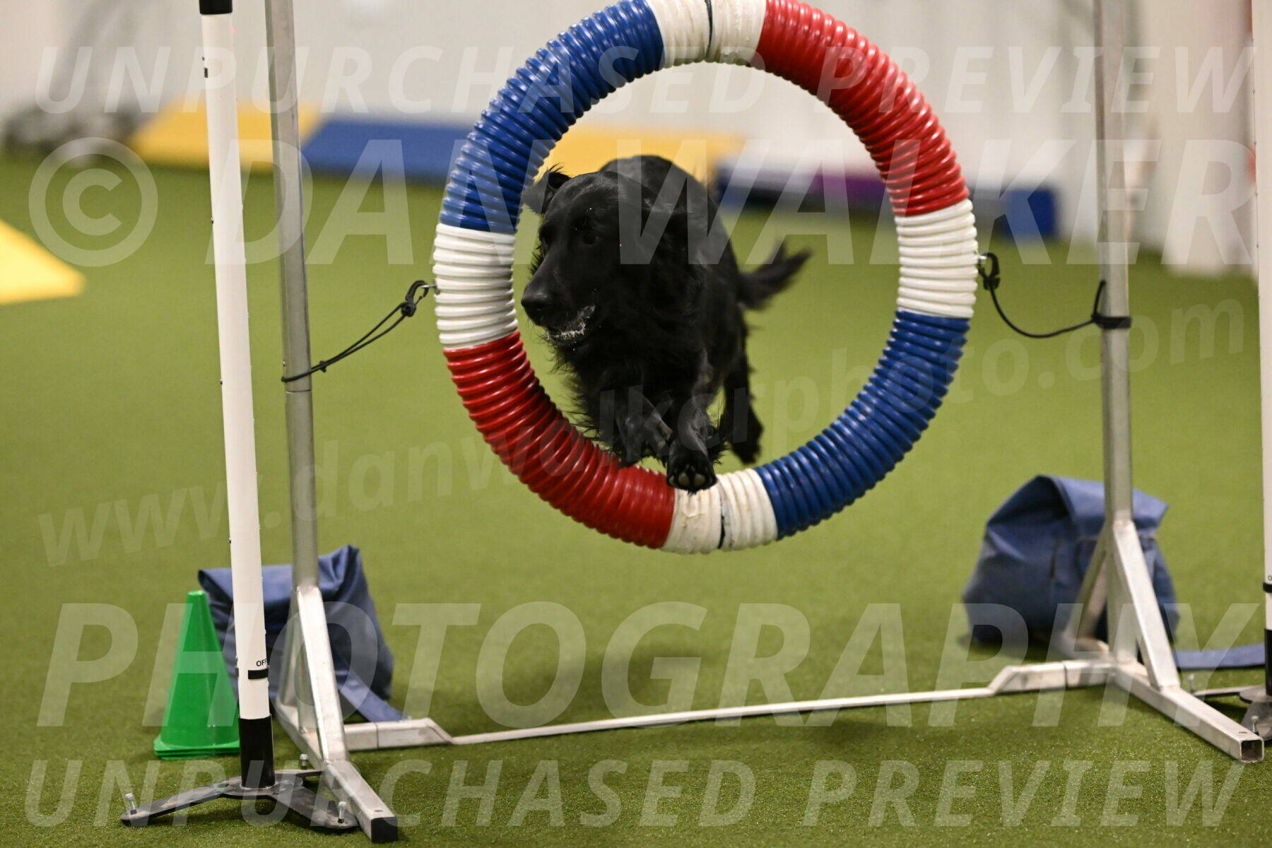 Kevin-Toni-Fern-10204