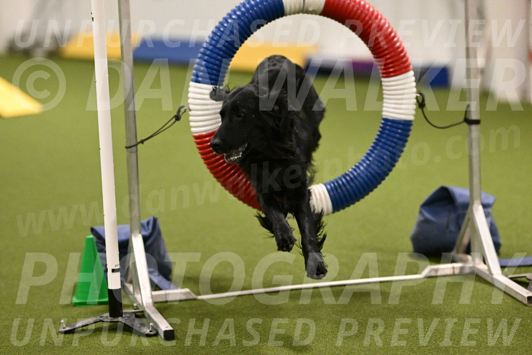 Kevin-Toni-Fern-10205