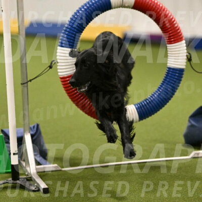 Kevin-Toni-Fern-10205