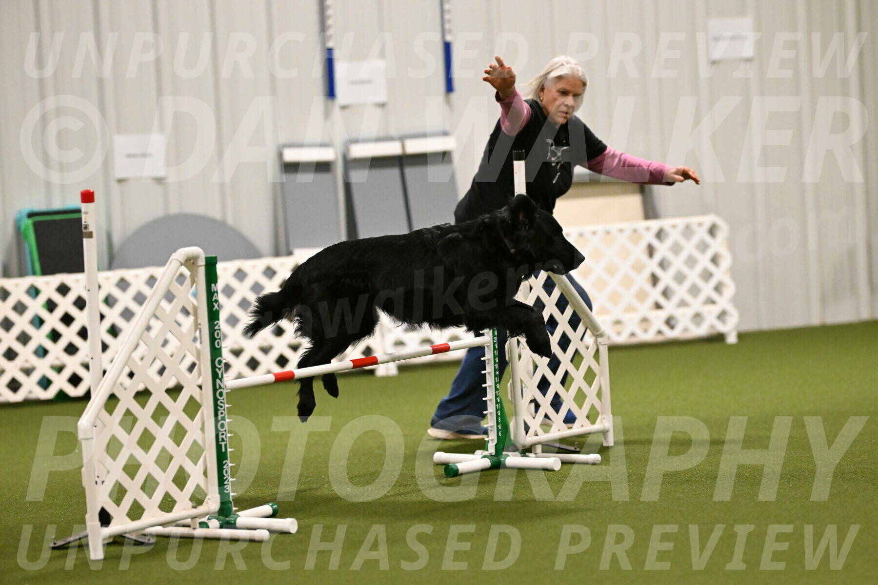 Kevin-Toni-Fern-10206