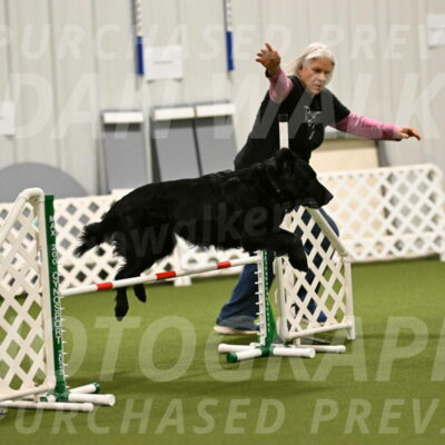 Kevin-Toni-Fern-10206