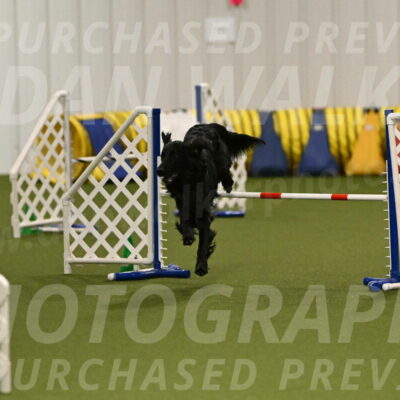 Kevin-Toni-Fern-10207