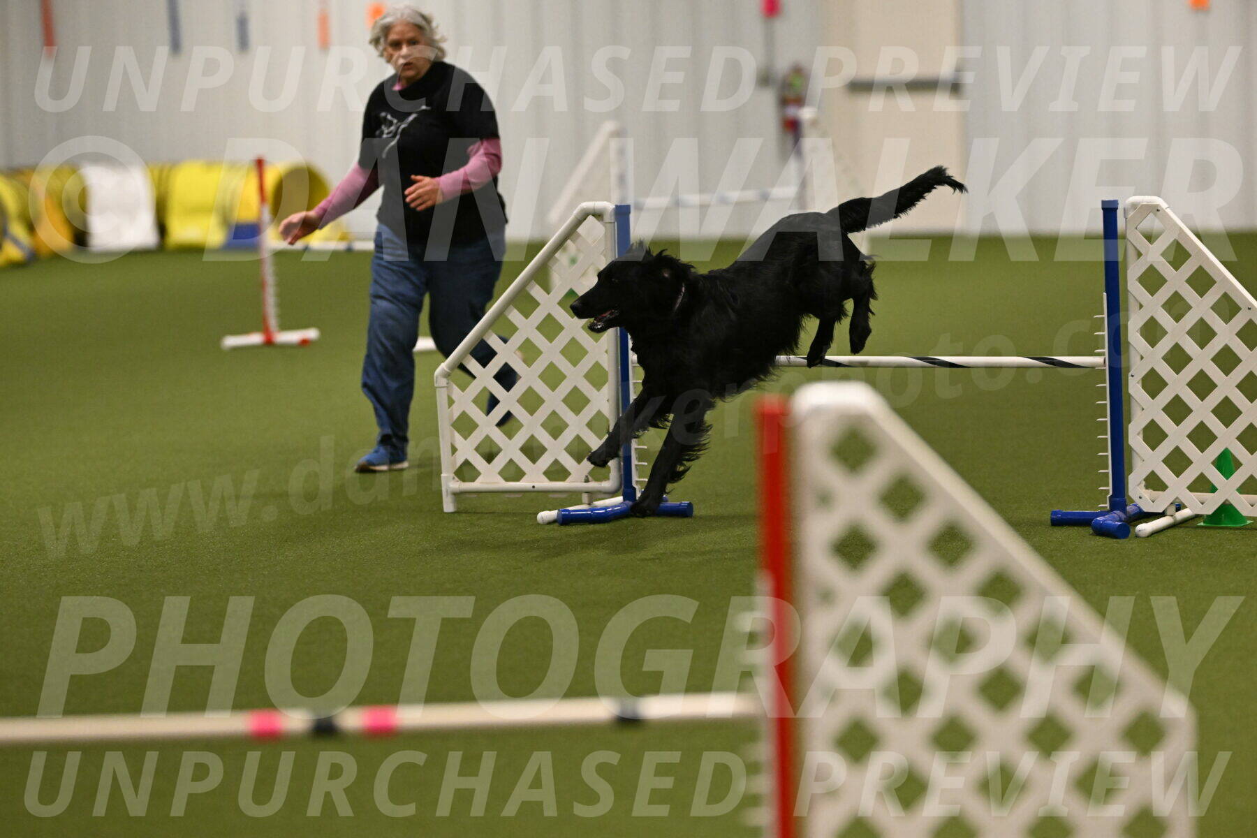 Kevin-Toni-Fern-10208