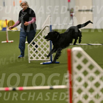 Kevin-Toni-Fern-10208