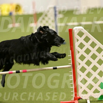 Kevin-Toni-Fern-10209