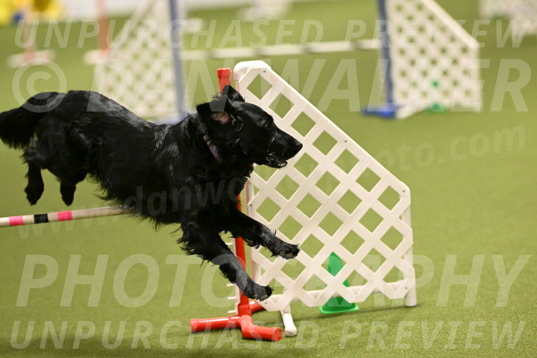 Kevin-Toni-Fern-10210