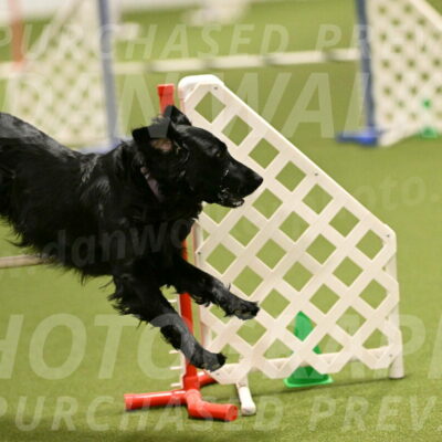 Kevin-Toni-Fern-10210