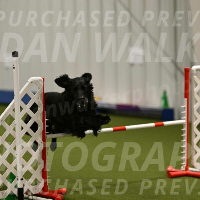 Kevin-Toni-Fern-10211