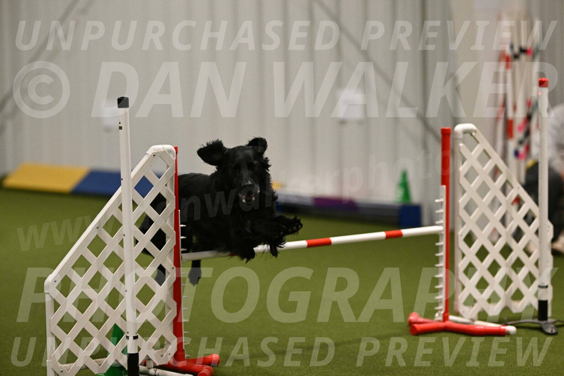 Kevin-Toni-Fern-10211