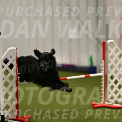 Kevin-Toni-Fern-10212