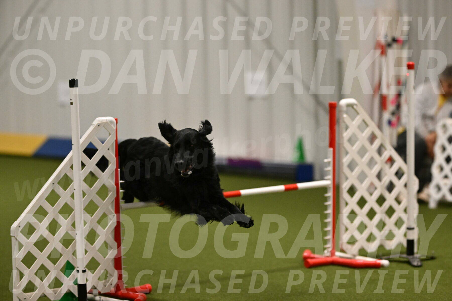 Kevin-Toni-Fern-10212