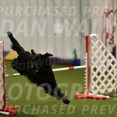 Kevin-Toni-Fern-10213