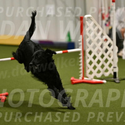 Kevin-Toni-Fern-10214