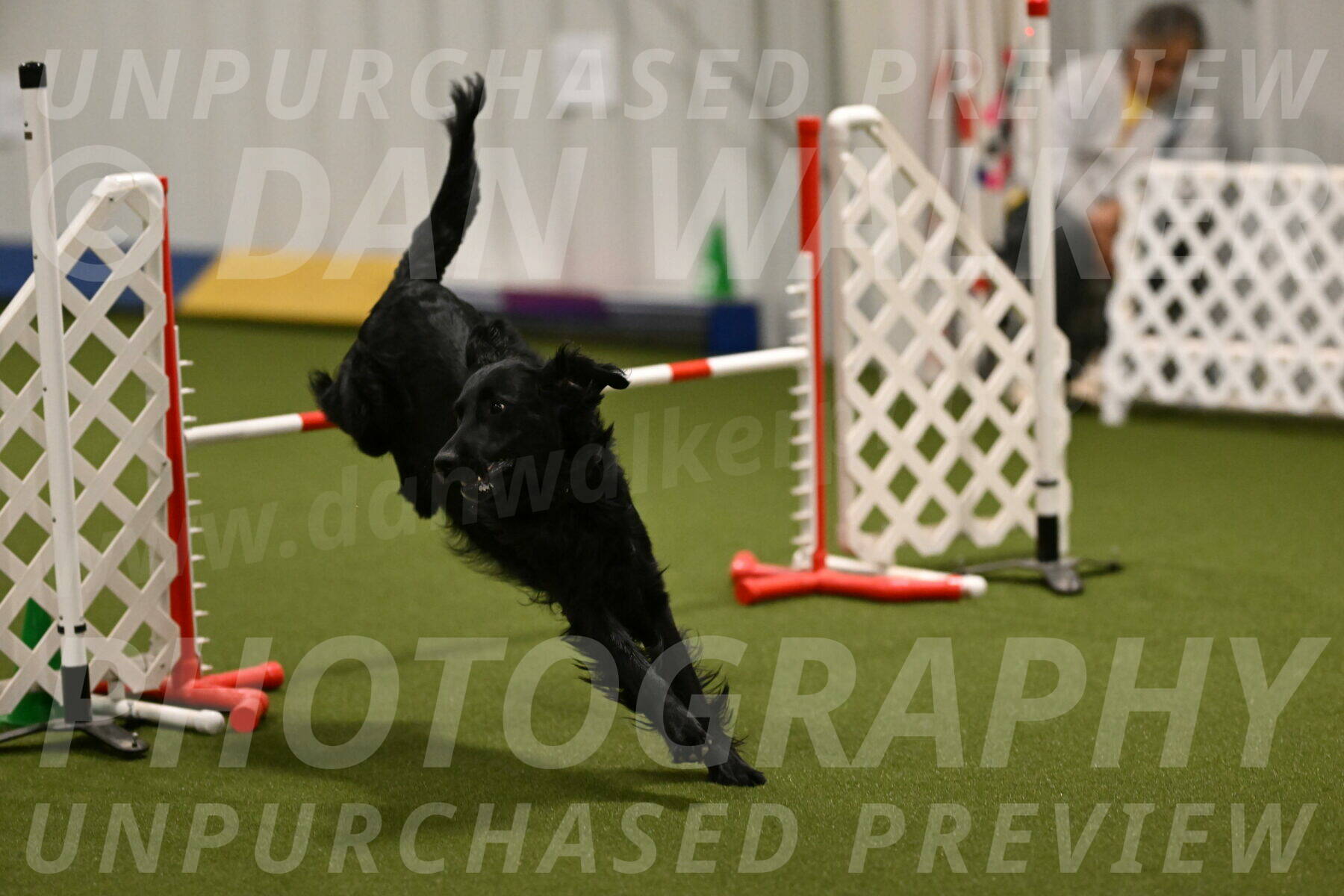 Kevin-Toni-Fern-10214