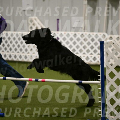 Kevin-Toni-Fern-10215