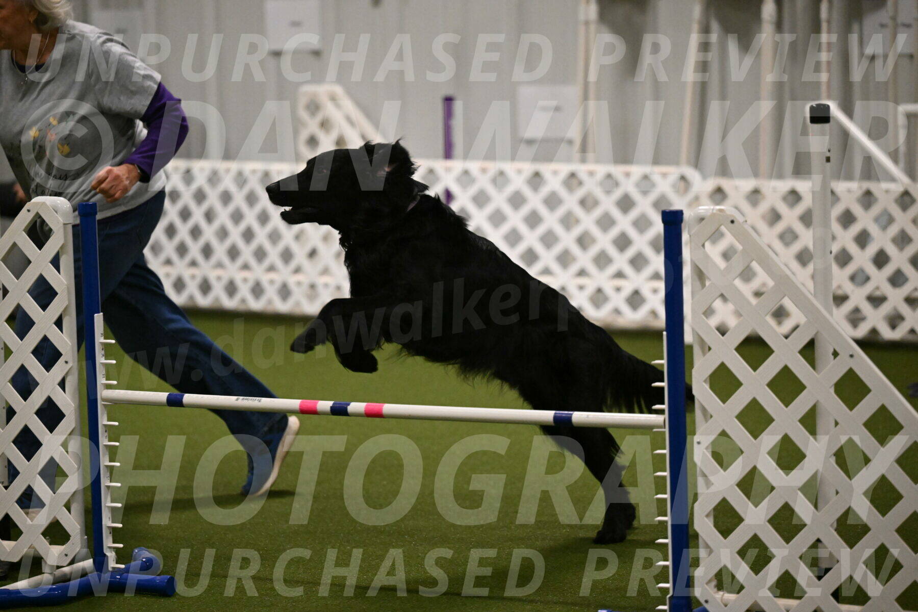 Kevin-Toni-Fern-10215