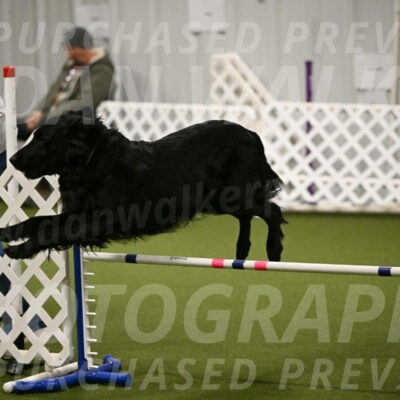 Kevin-Toni-Fern-10216