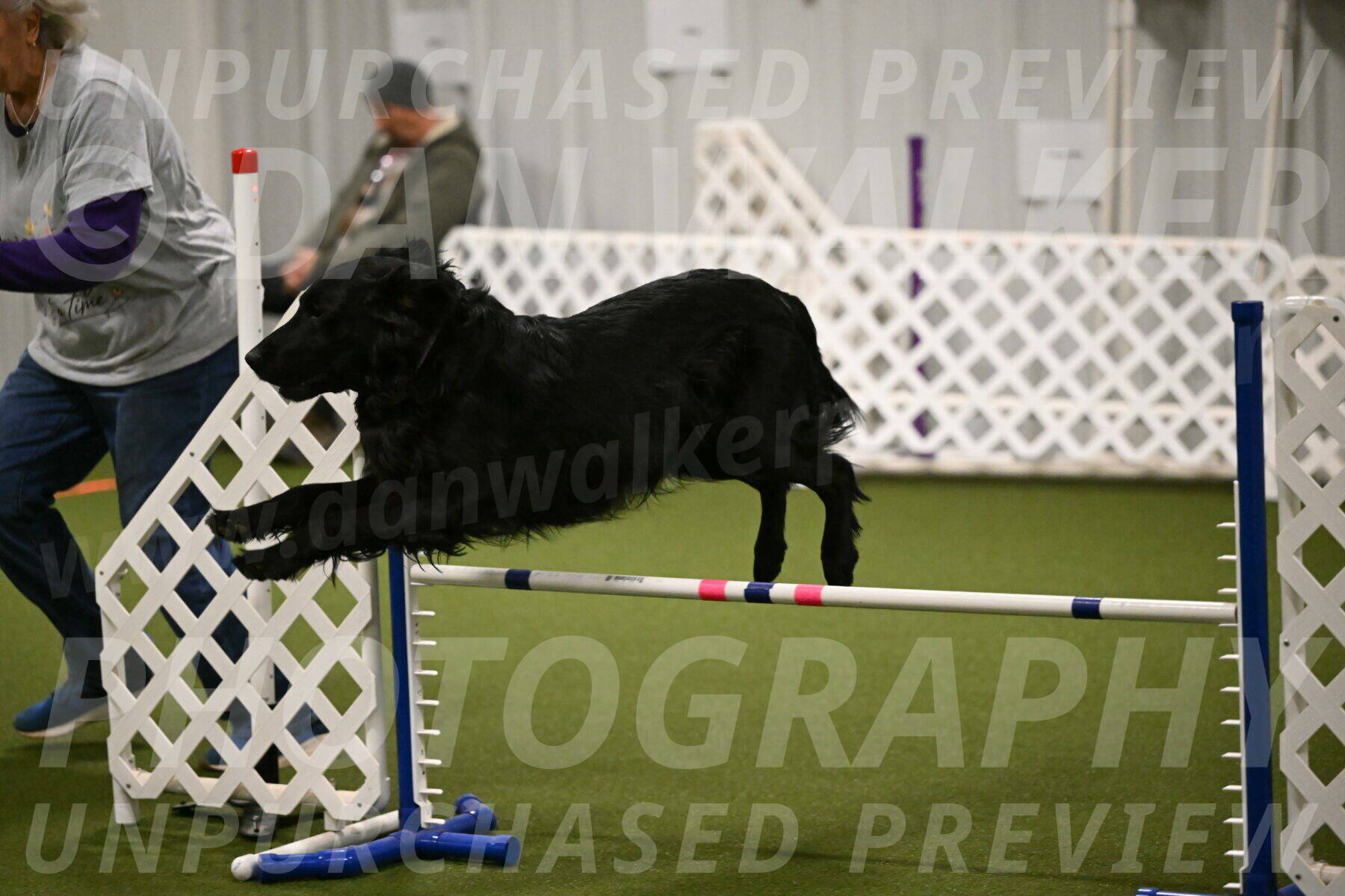 Kevin-Toni-Fern-10216