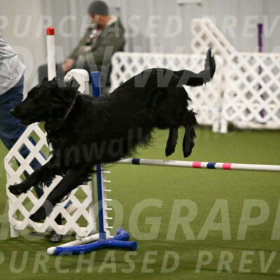 Kevin-Toni-Fern-10217