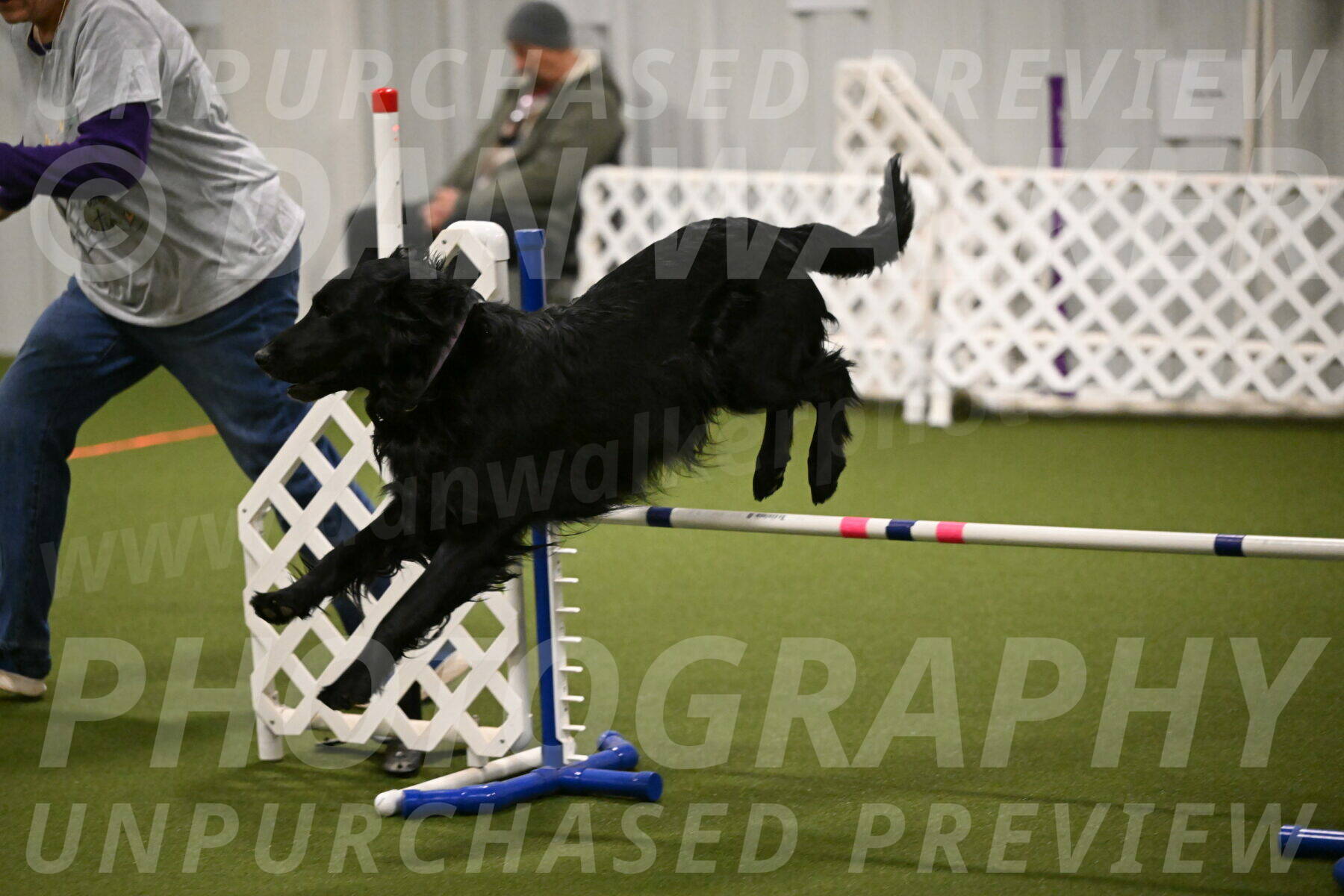 Kevin-Toni-Fern-10217