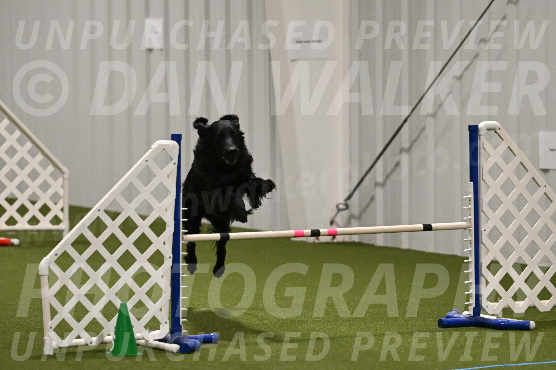 Kevin-Toni-Fern-10218