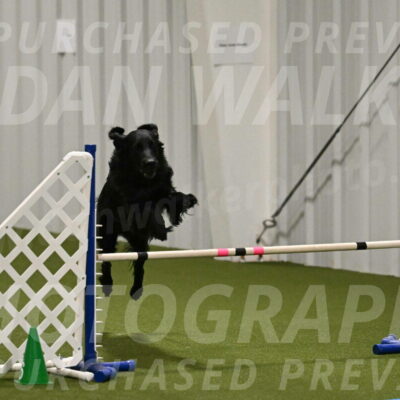 Kevin-Toni-Fern-10218