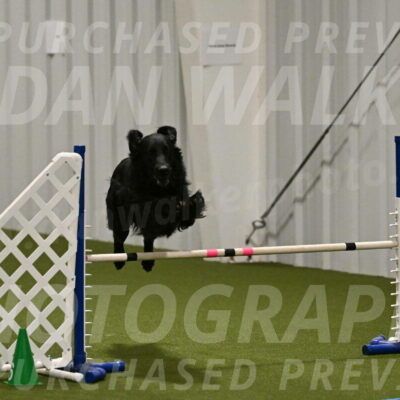 Kevin-Toni-Fern-10219