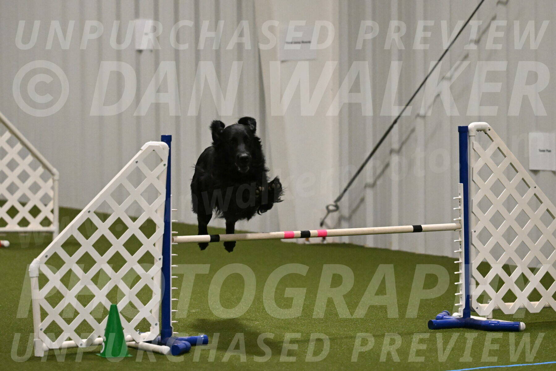 Kevin-Toni-Fern-10219