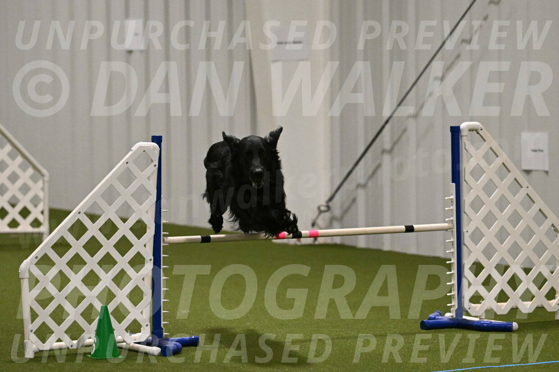 Kevin-Toni-Fern-10220