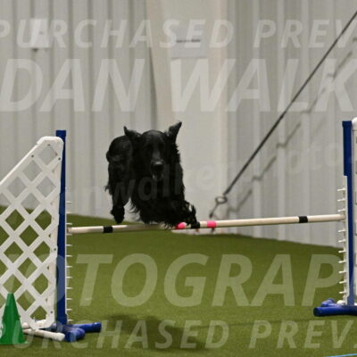 Kevin-Toni-Fern-10220