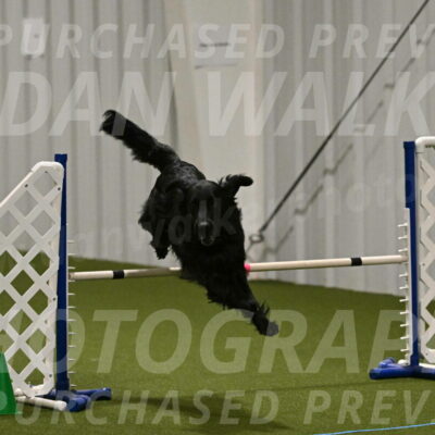 Kevin-Toni-Fern-10221