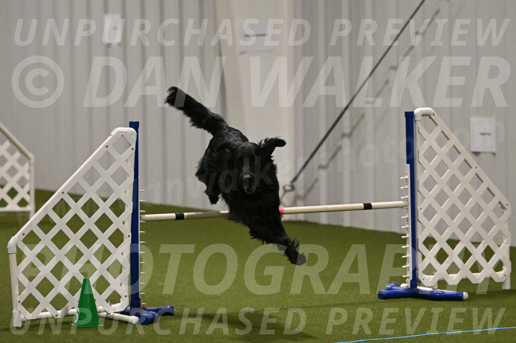 Kevin-Toni-Fern-10221