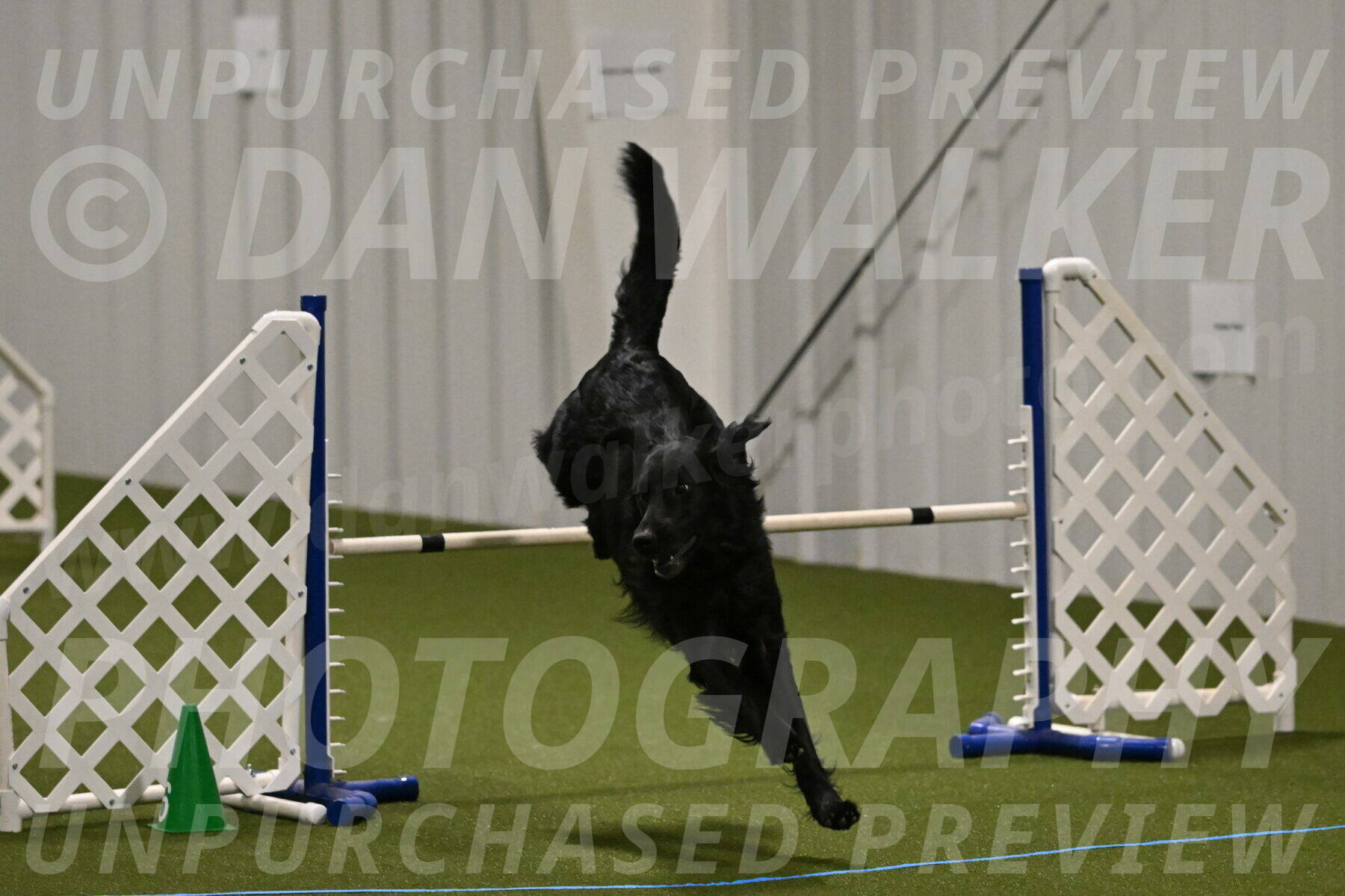 Kevin-Toni-Fern-10222