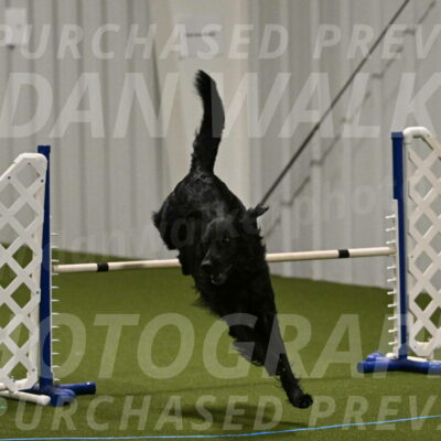 Kevin-Toni-Fern-10222