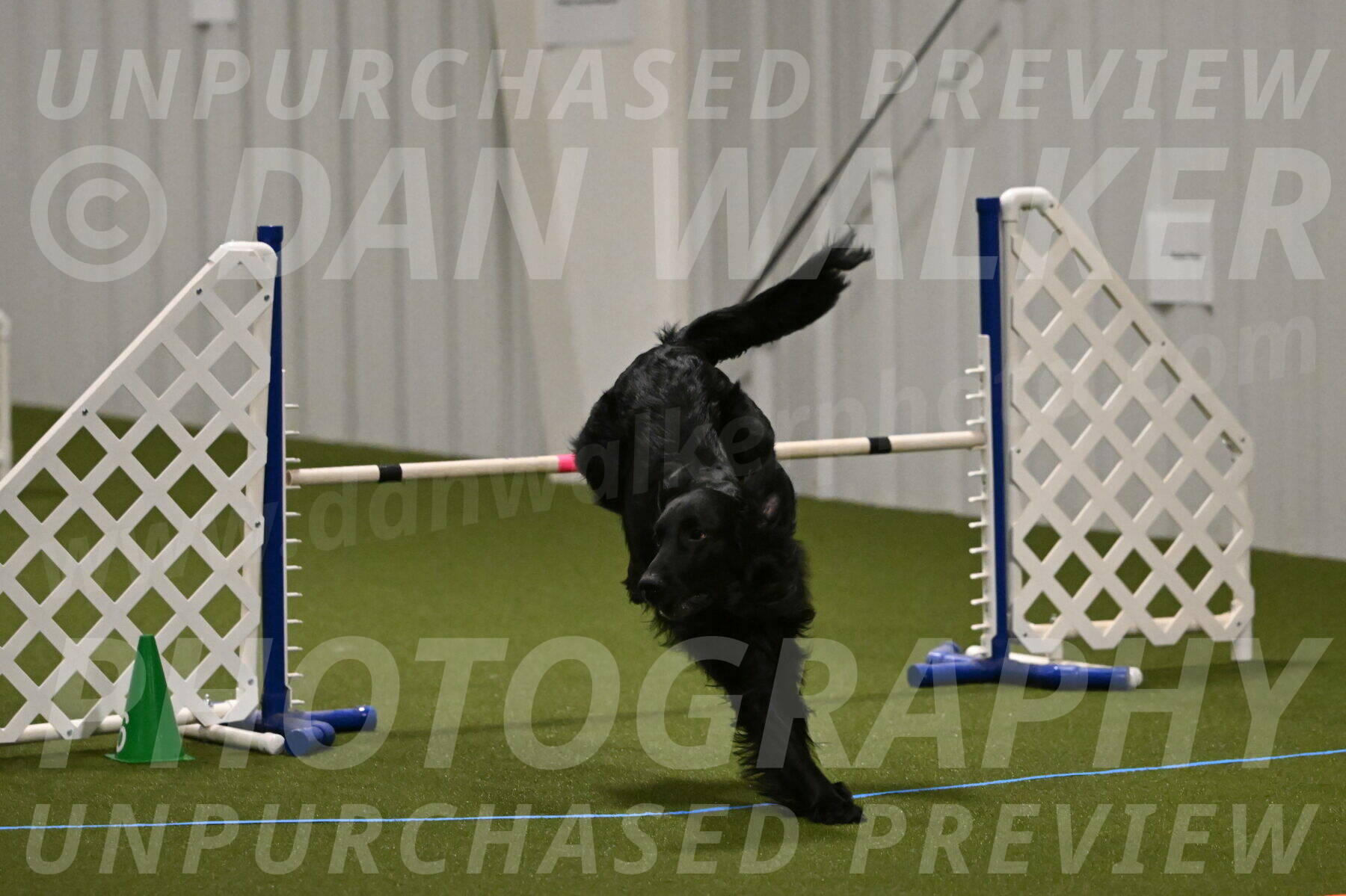 Kevin-Toni-Fern-10223