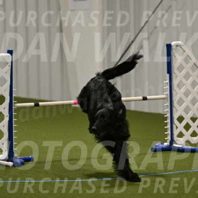 Kevin-Toni-Fern-10223