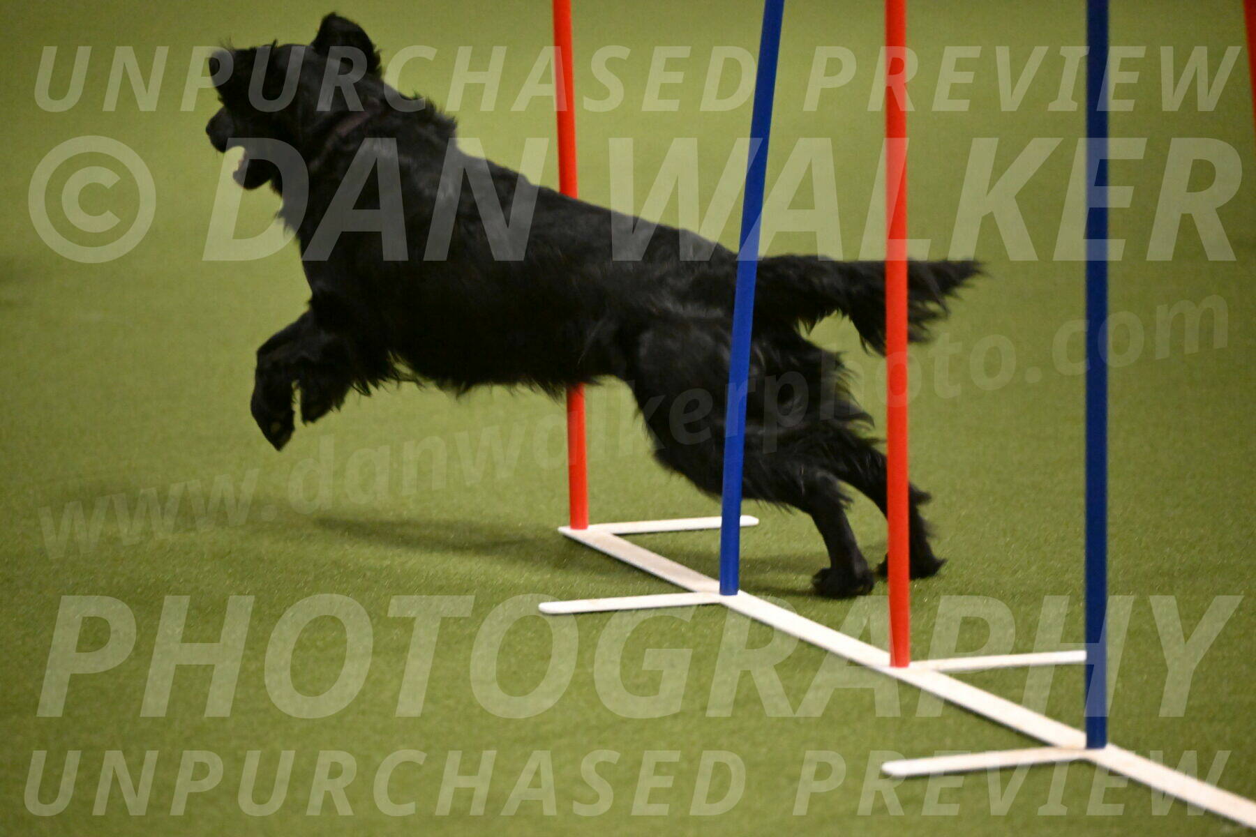 Kevin-Toni-Fern-10224