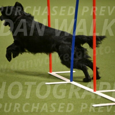 Kevin-Toni-Fern-10224