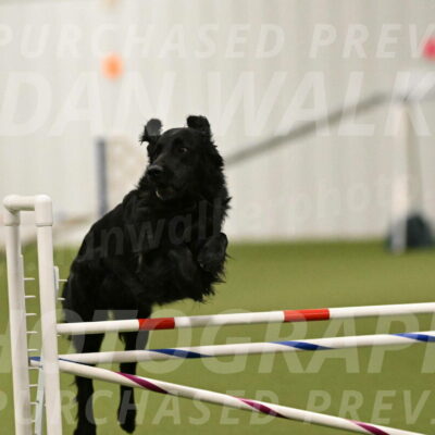 Kevin-Toni-Fern-10225