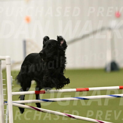 Kevin-Toni-Fern-10226