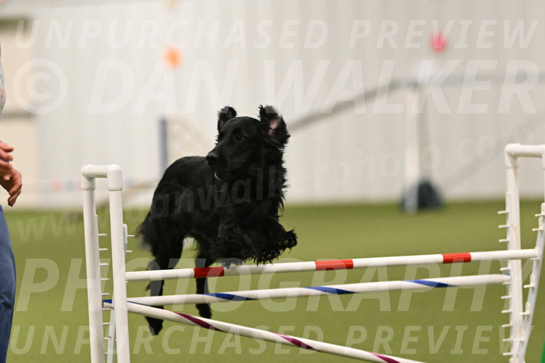 Kevin-Toni-Fern-10226