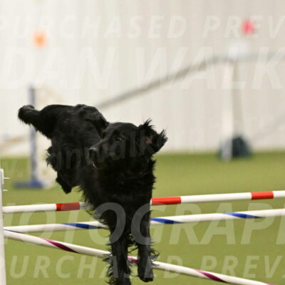 Kevin-Toni-Fern-10227