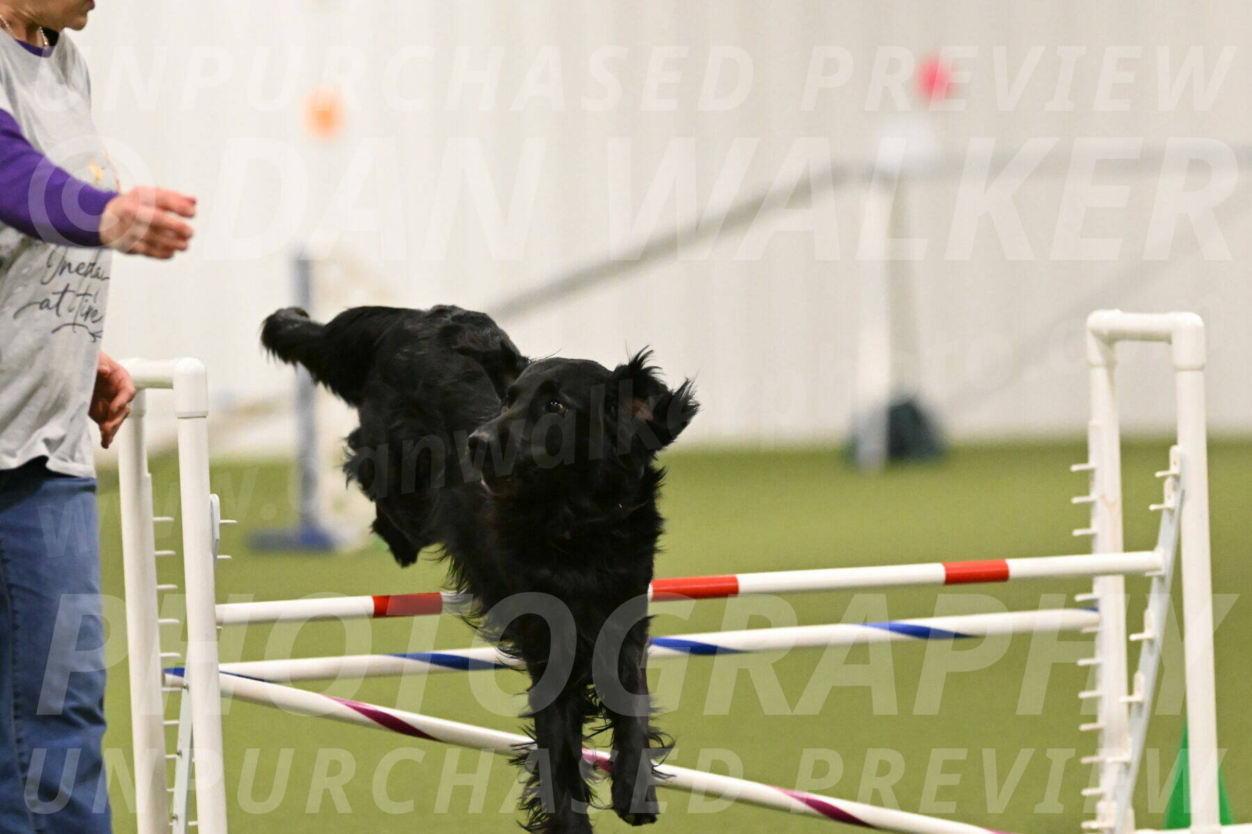 Kevin-Toni-Fern-10227