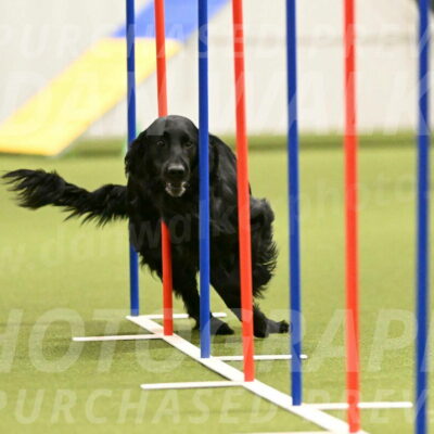 Kevin-Toni-Fern-10228