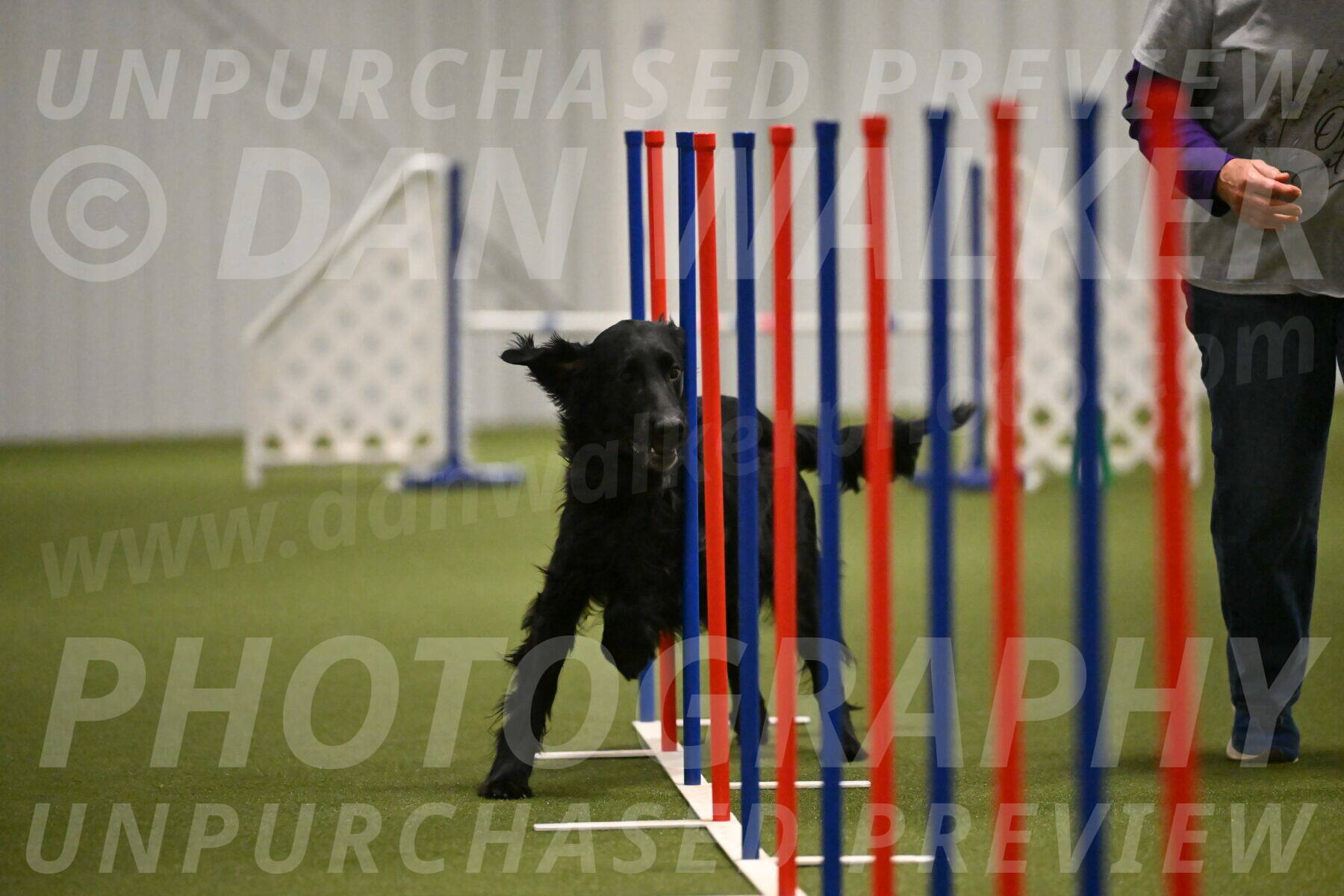 Kevin-Toni-Fern-10232