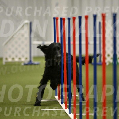 Kevin-Toni-Fern-10232