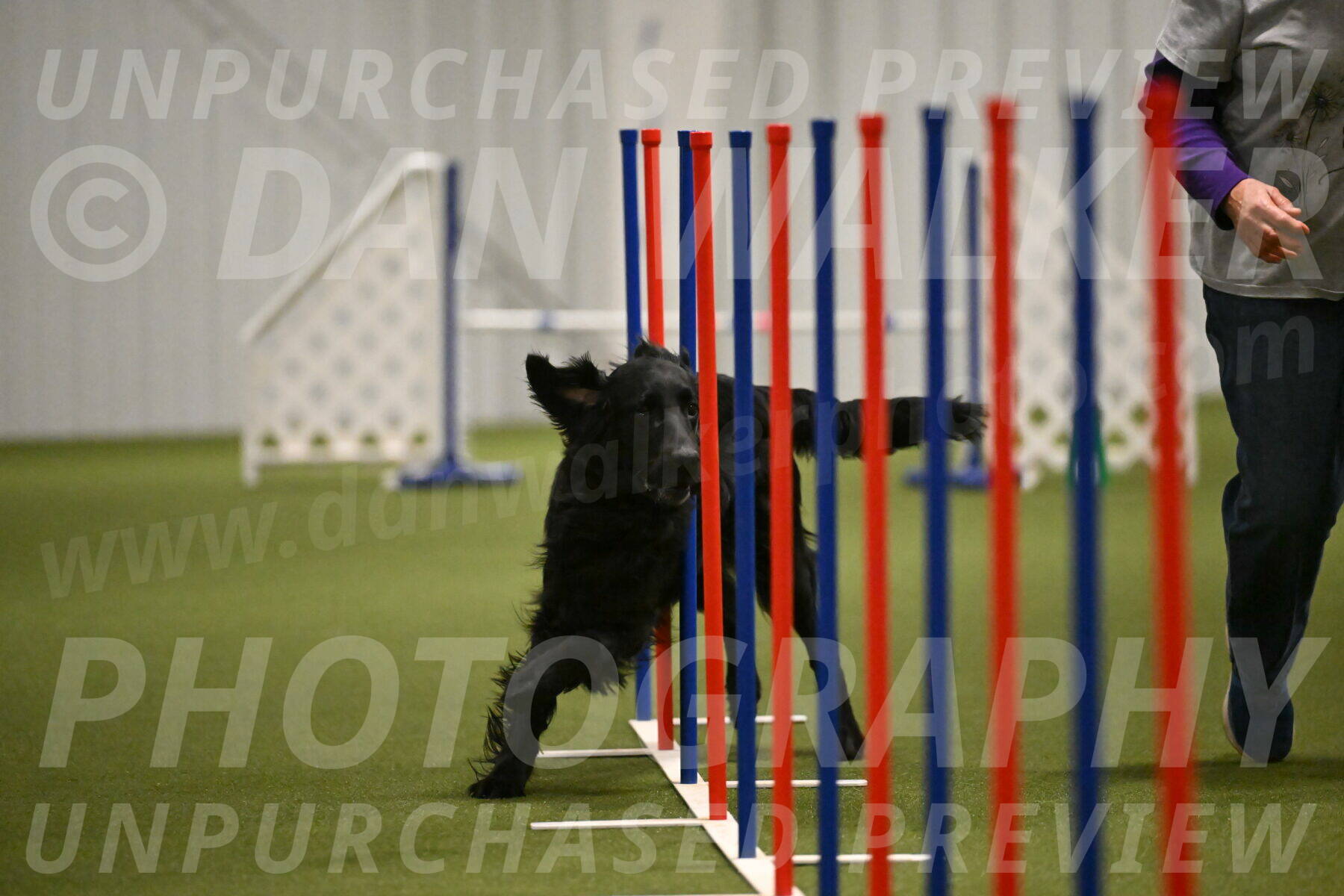 Kevin-Toni-Fern-10233