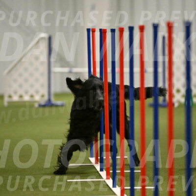 Kevin-Toni-Fern-10233